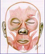 Bells palsy Alternative Medicine Acupuncture Herbal Treatment Cure Bells palsy Medical Treatment Cure Centre in Kuala Lumpur